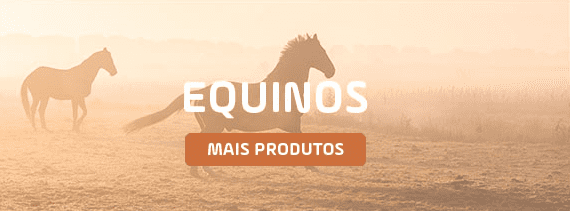Banner 1